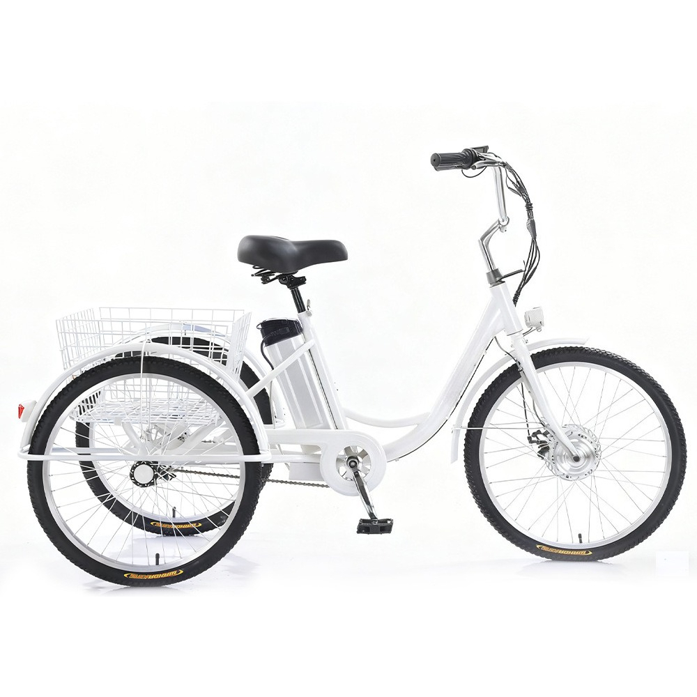 Electric Scooter Adults - Triciclo Elettrico da 24