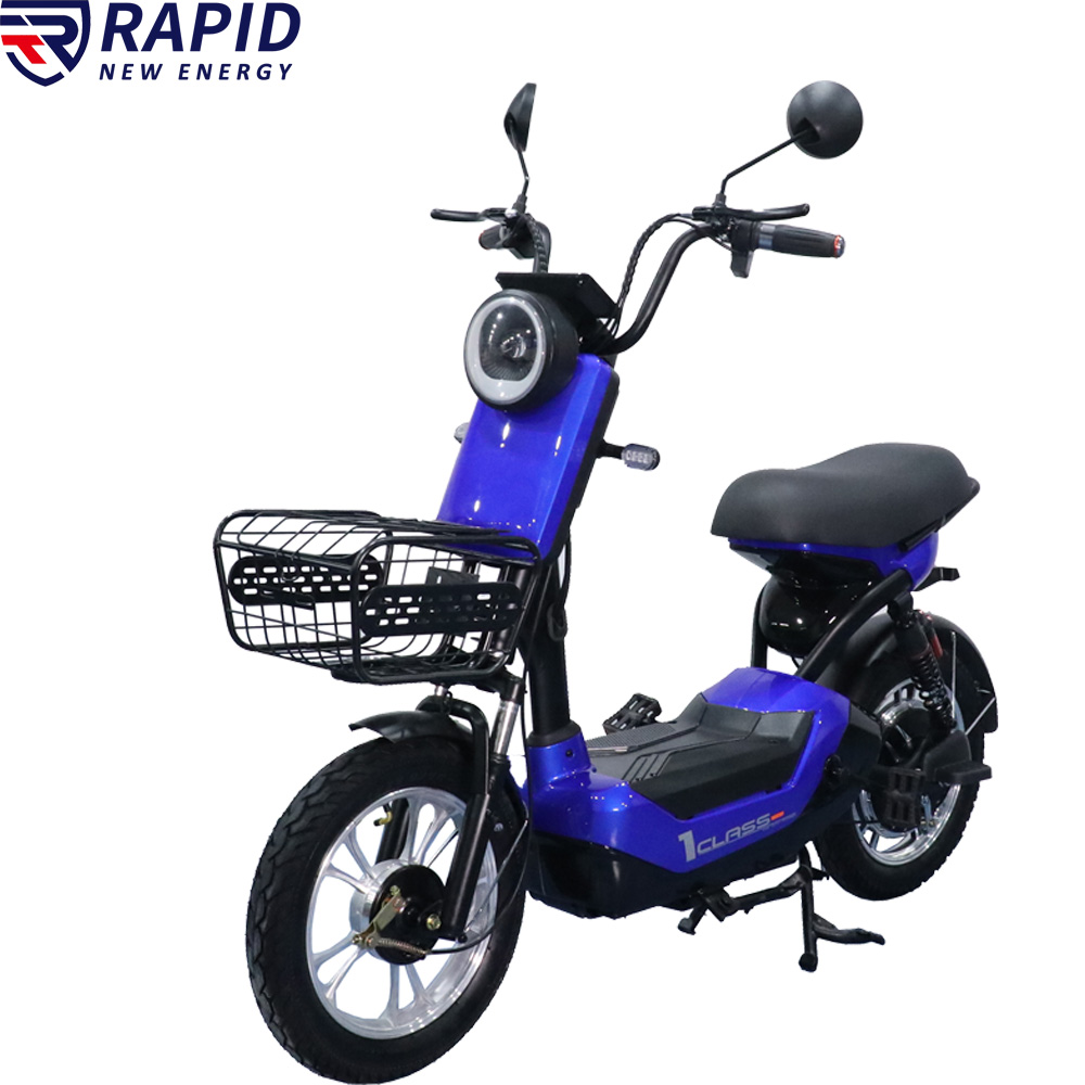 YTYIN Bicicletta Elettrica Eco - Folding Electric Scooter recensione e prezzo
