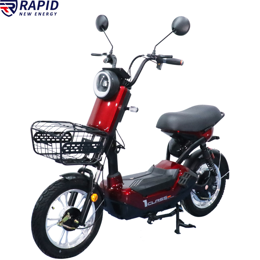 YTYIN Bicicletta Elettrica Eco - Folding Electric Scooter recensione e prezzo