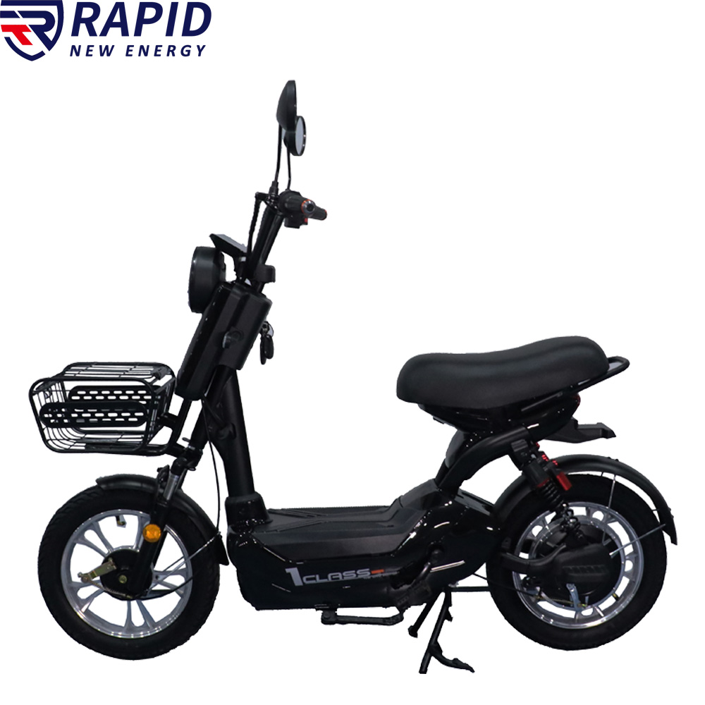 YTYIN Bicicletta Elettrica Eco - Folding Electric Scooter recensione e prezzo