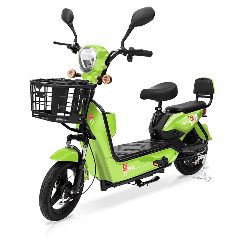 YTYIN Bicicletta Elettrica da  - Folding Electric Scooter recensione e prezzo